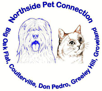 Northside Pet Connection