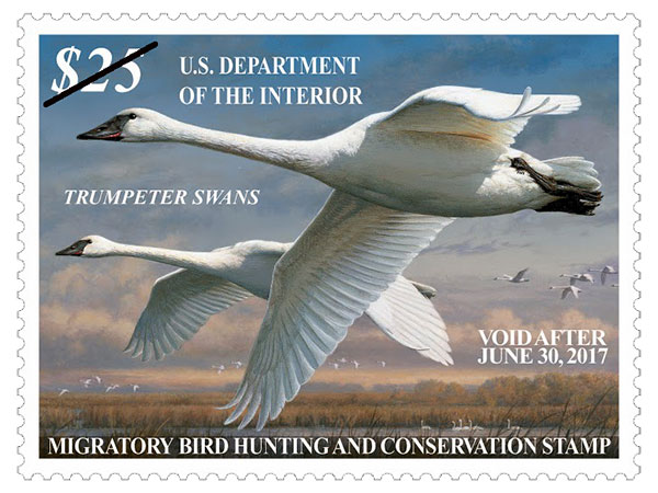 2016 duck stamp 600px