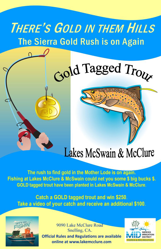gold trout flyer lake mclure lake mcswain