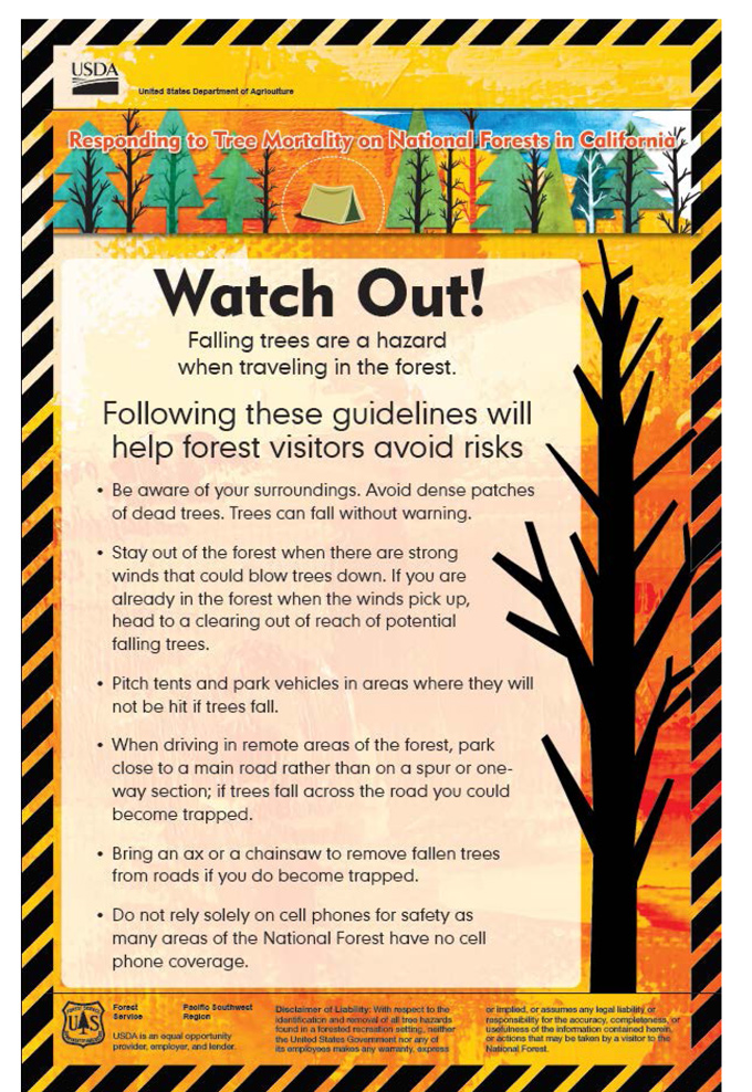 sierra national forest watch out for hazard trees