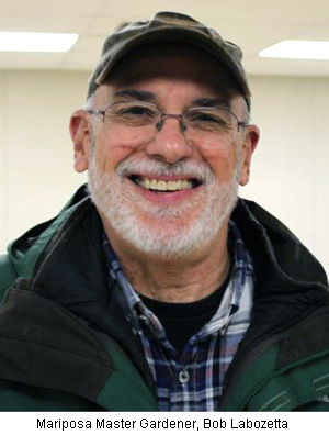 Bob Labozetta M.G.