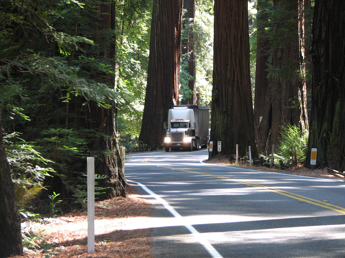 richardson grove improvement project credit caltrans