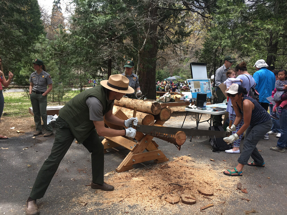 NPS Photo Earth Day 2017 Traditional Saw