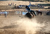 Coyote_Springs-cp-small
