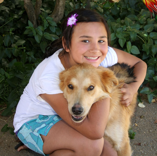spca16