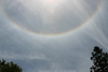 Sun-ringsjw-small