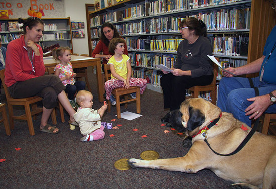 MariposaLibrary