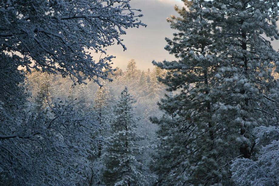 snow-31-ja