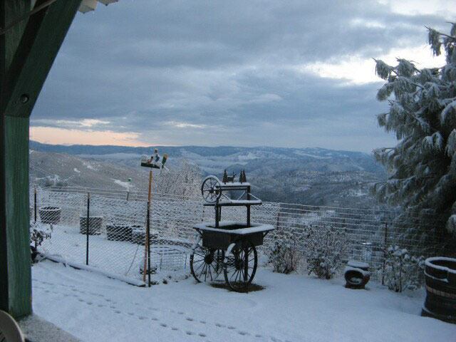 snow41-rc