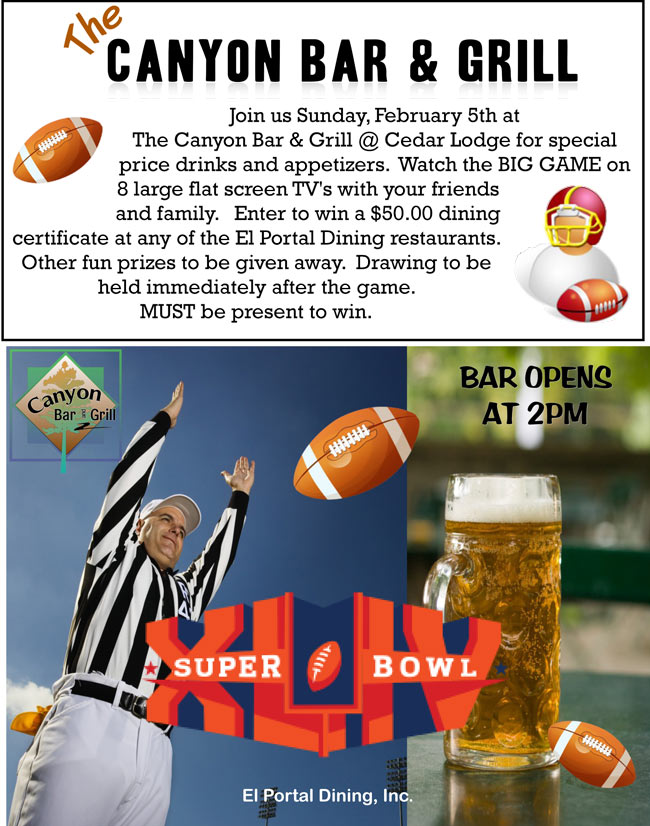 2-5-12-Super-Bowl-2012-lg