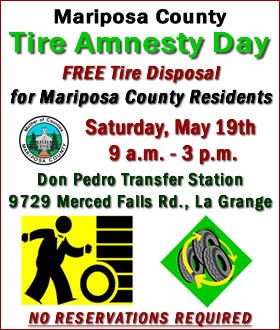 Tire-Amnesty-sm