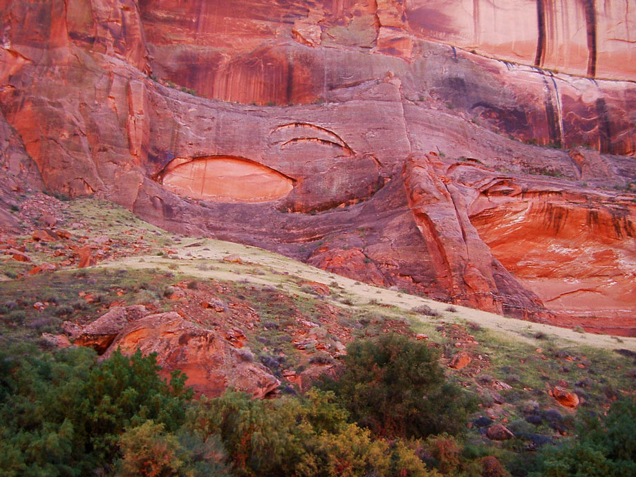 Gay-Abarbanell-Magnificent