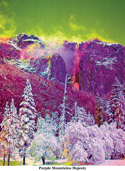 Ocean-Jones-purple-mntn-majesty