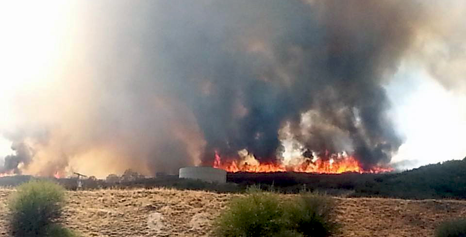 Oakhurst-Fire-8182014-TMiranda