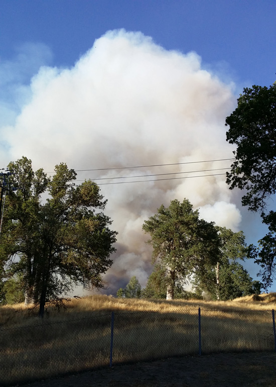 Oakhurst-Fire-8182014-Willie-Marlin