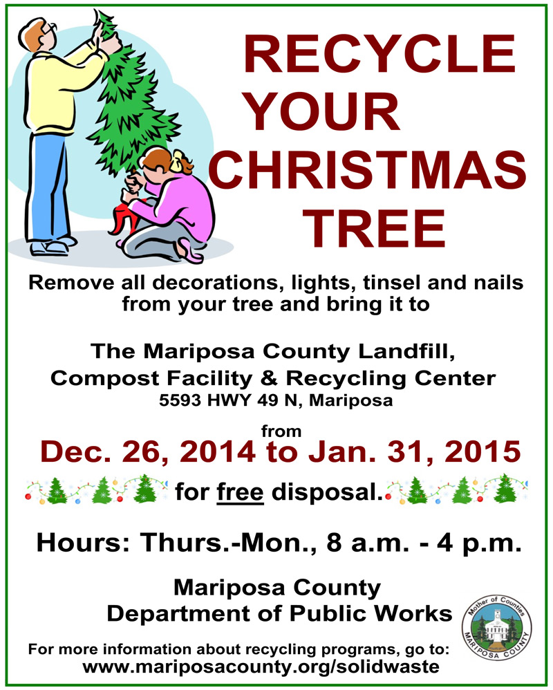 christmas-tree-recy-lg