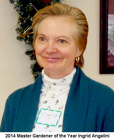 mg-ingrid-angelini-MG-of-the-year-2014
