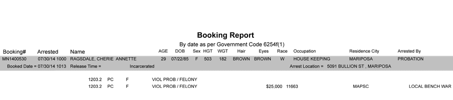 BOOKING-REPORT-07-30-2014