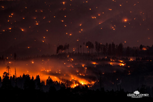 El-Portal-Fire-Kristal-Leonard-3sm