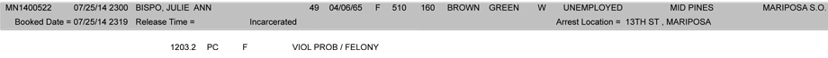 booking-report-07-25-2014-2