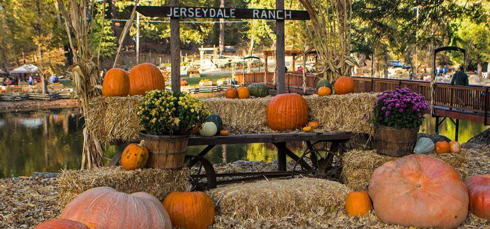 jerseydale-ranch