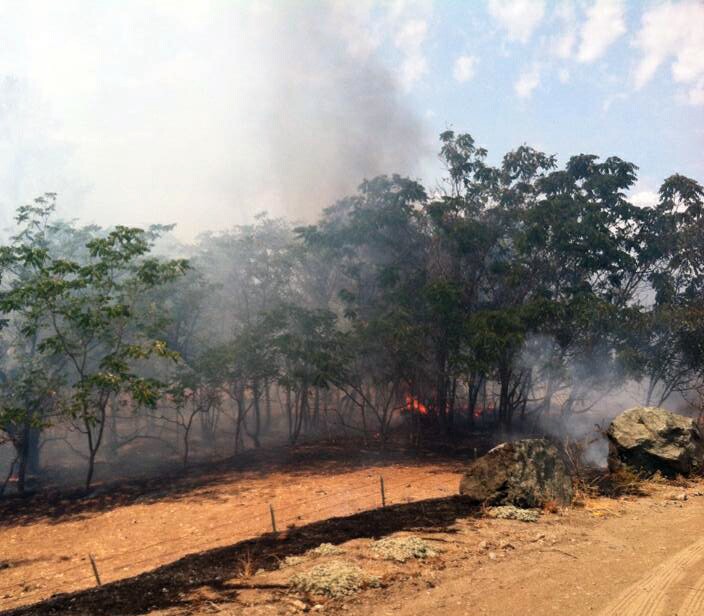 Barrett-Fire-in-Coulterville