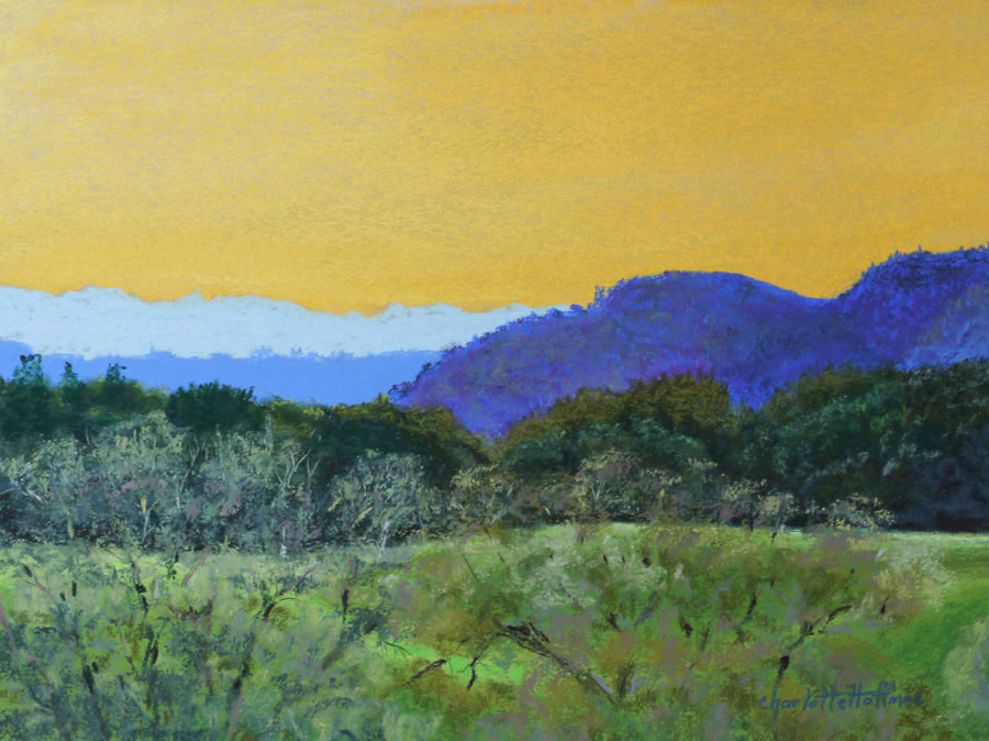 Charlotte-Hoffman-MorningJoy