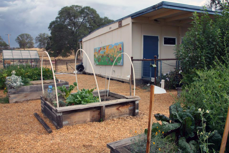 SFCS-Learning-Garden-5