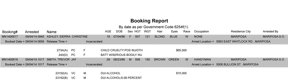 booking-report-09-04-2014
