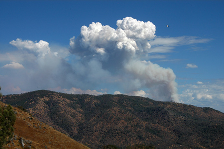 courtney-fire-4---400