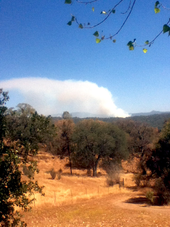 fire-1pm-Gary-Hickman
