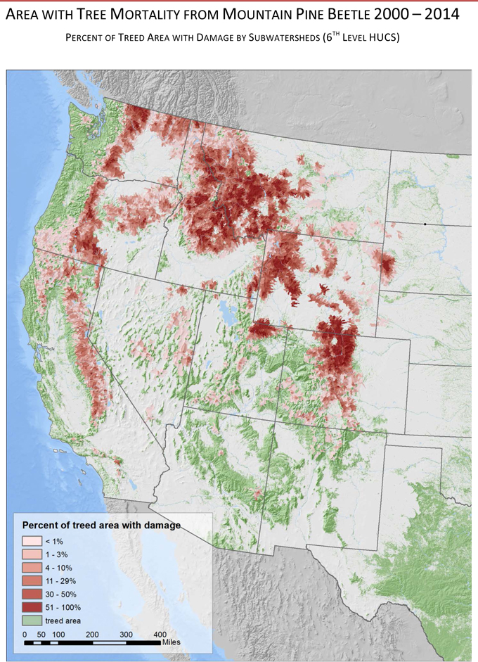 bark-beetle-tree-mortality-western-us-2000-2014-4