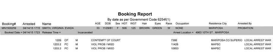 booking-report-4-14-2015