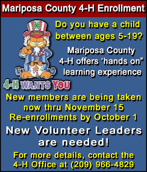 4 H Enrollment 2015