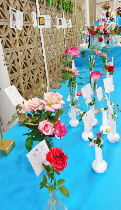 fair floral lineup