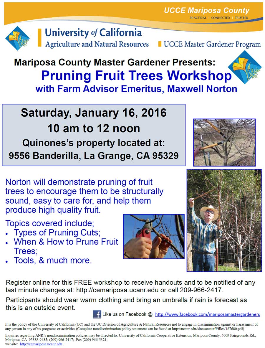 1 16 16 UCCE pruning workshop