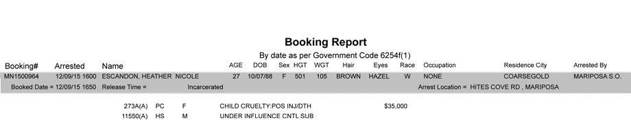 mariposa county booking report 12 9 2015