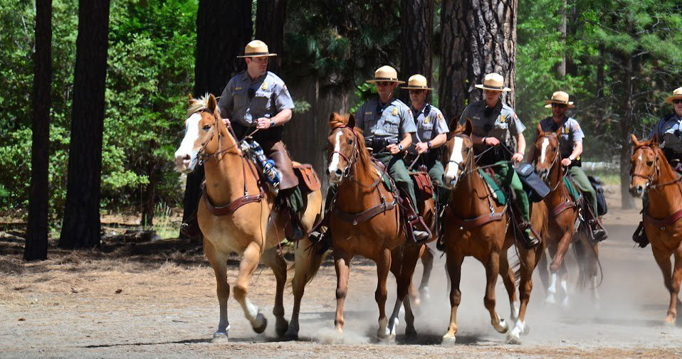 yosemite horses rose parade