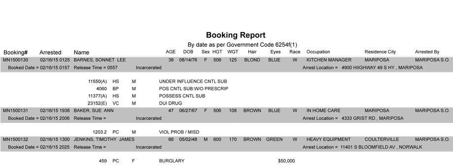 booking-report-2-16-2015