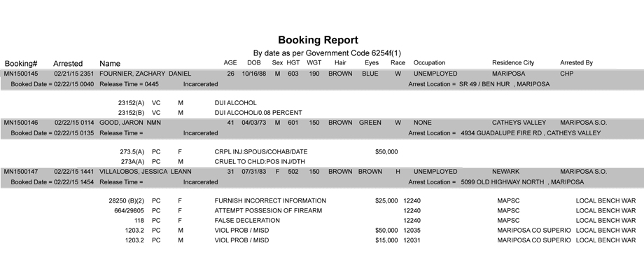 booking-report-2-22-2015