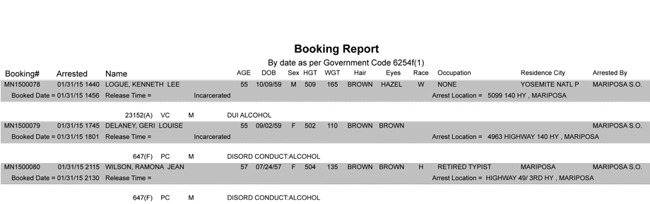 booking-report-1-31-2015