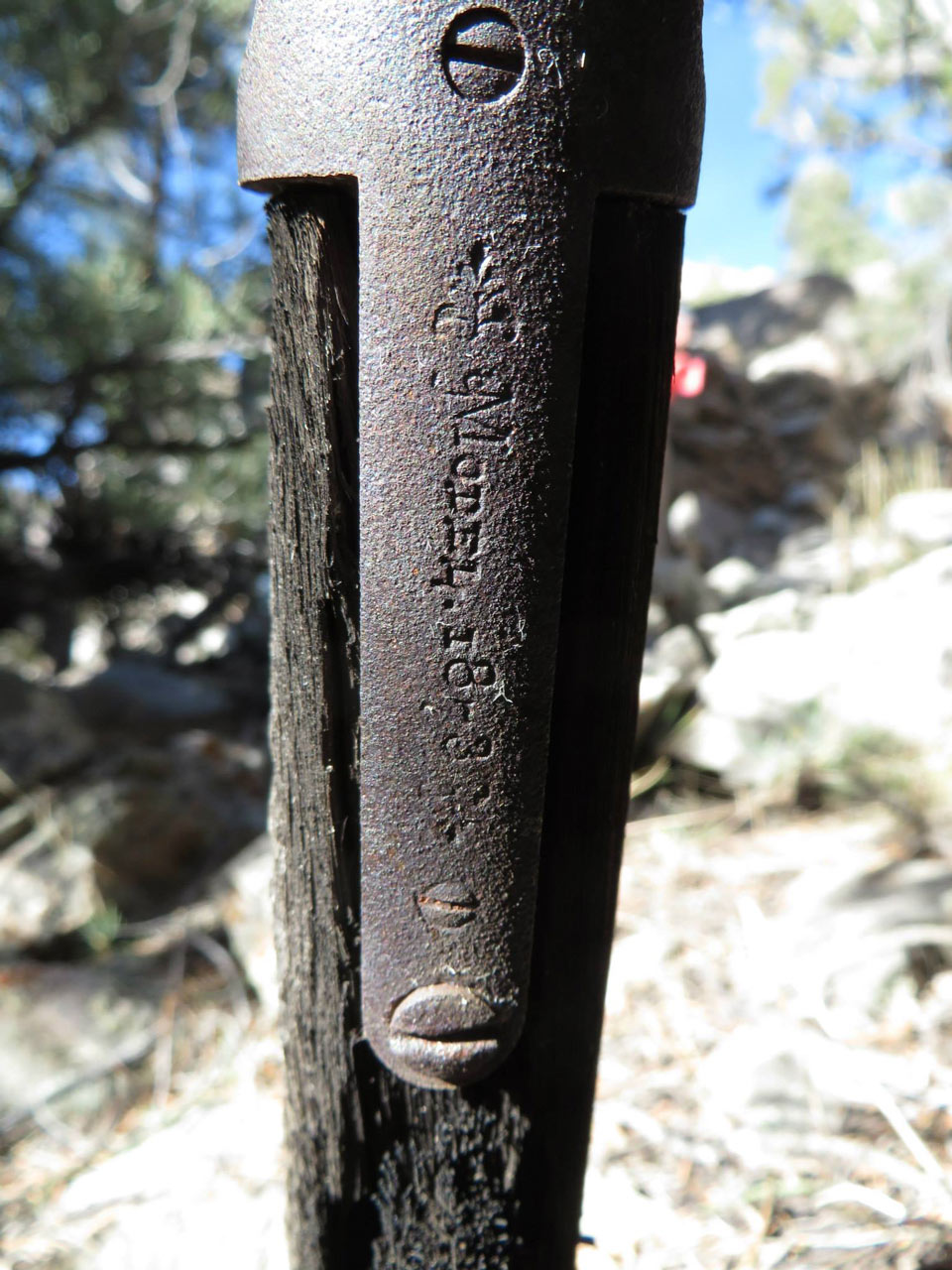 found-1873-winchester-rifle-3