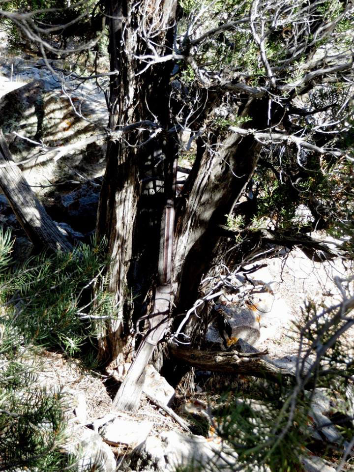 found-1873-winchester-rifle-5