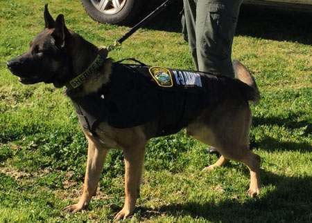 mariposa-county-sheriff-dog-1