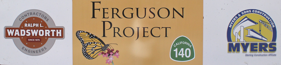 ferguson-project-mariposa-1