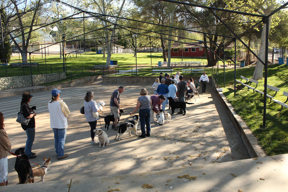 mariposa-county-rabies-clinic-3282015-sierra-sun-times