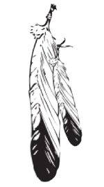 NFR logo