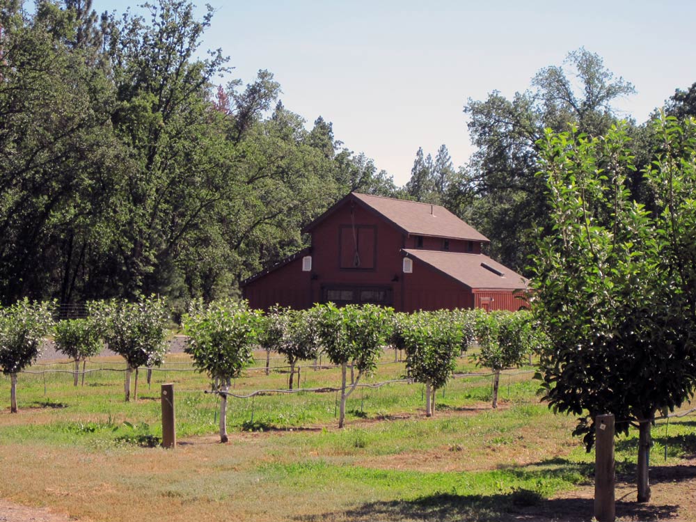 Farm Tour sierra cider