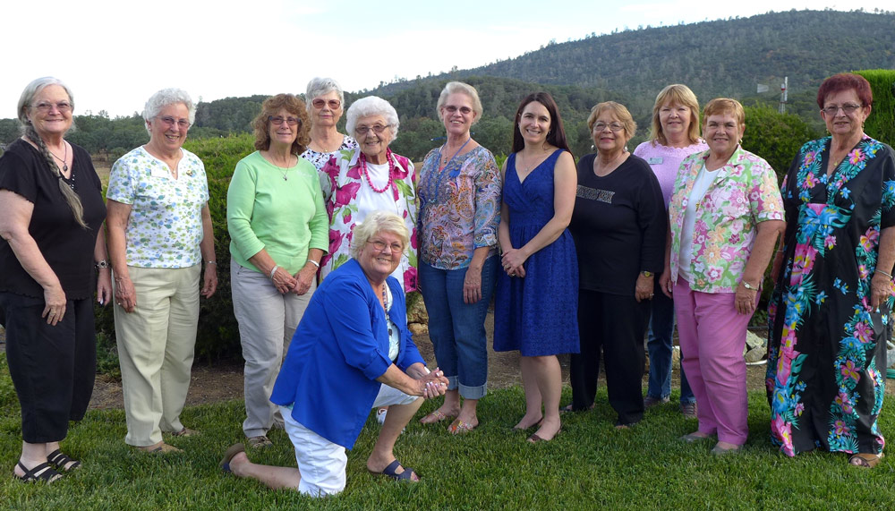 2015 Soroptimist Installation