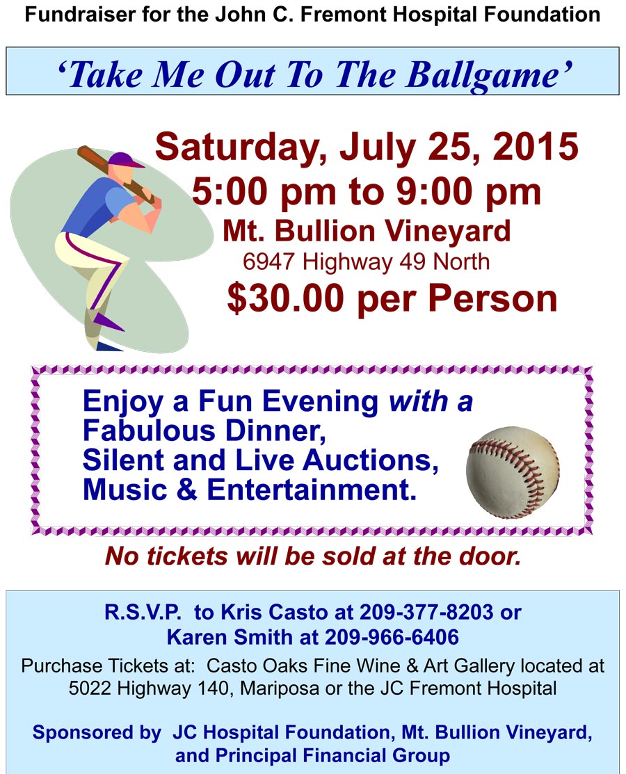 7 25 15 Baseball Party Flyer